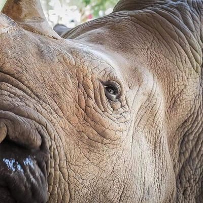 GMsamN's profile picture. 