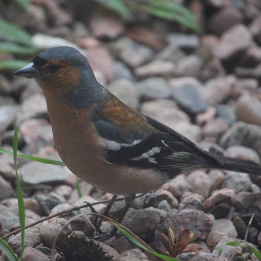 Michael_MXP's profile picture. Developer, Consultant, Opinionated person. Failed comedian. All views my own. Unless they get me in trouble - then they're someone elses.