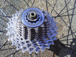 mogulamegane's profile picture. 自転車 囲碁 サッカー 蒸留酒 ベースの低音とピアノが好き。