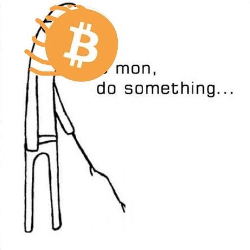 Bitcoin Memes Bitcoin Memes Twitter