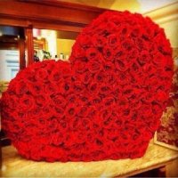 خطابة ام محمد (@xpaysfb6xleiioc) 's Twitter Profile