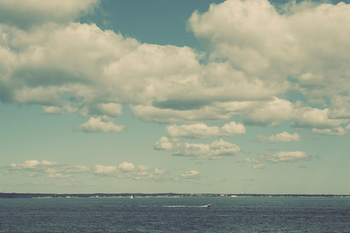 jessechamberlin's profile picture. artist, photographer, sun bather, day dreamer