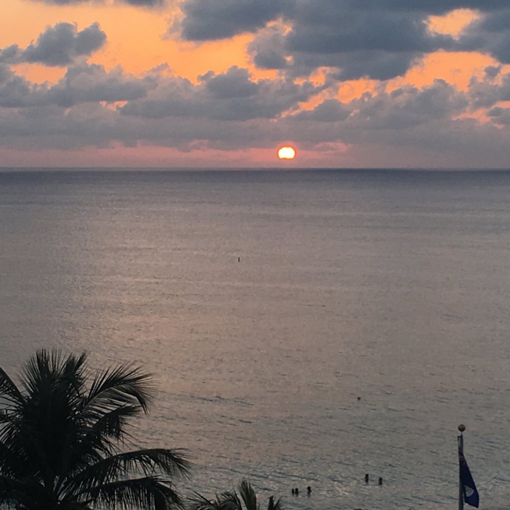 dwilhammer's profile picture. 