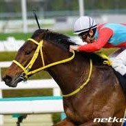 Blue_Fronted's profile picture. 