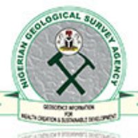 Real NGSAng (@ngsa_ng) 's Twitter Profile