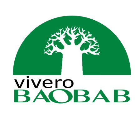 Vivero Baobab