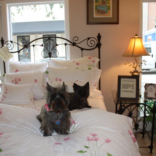 classicironbeds's profile picture. Lucky to be doing a job that I Love