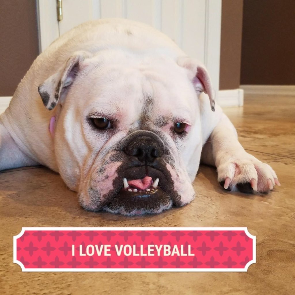 The official Twitter account for Rutherford High School Volleyball.
