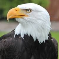 🦅 Sunset Elementary 🦅 (@sunseteagles) 's Twitter Profile Photo 🦅 Sunset Elementary 🦅 (@sunseteagles) 's Twitter Profile Photo