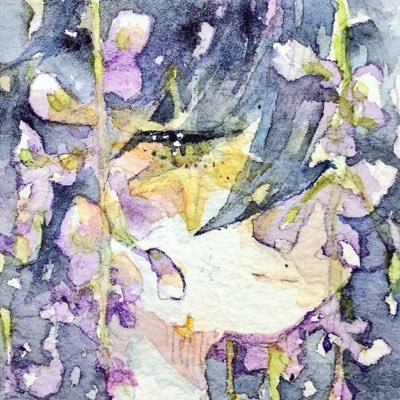 ほうこさんのプロフィール画像