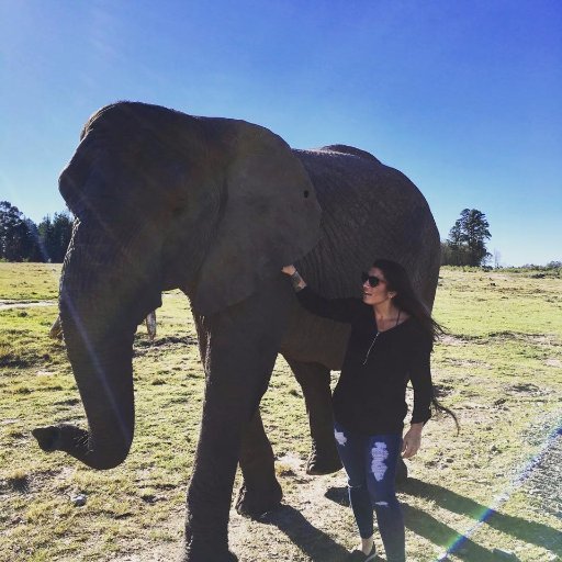 APES_Oceans's profile picture. George Mason Alum--Avid Traveler--Softball Enthusiast