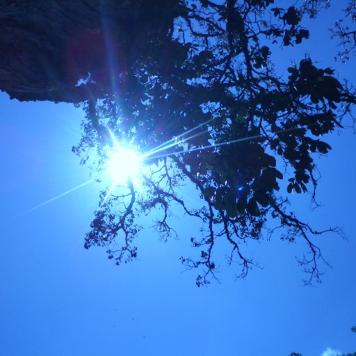 britneyrckmt's profile picture. 