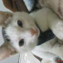 aisha saeed - @aaishaalove - Twitter