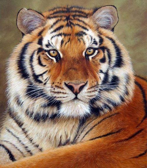 Hegemon_fissure's profile picture. Looking for cracks that show viable alternatives