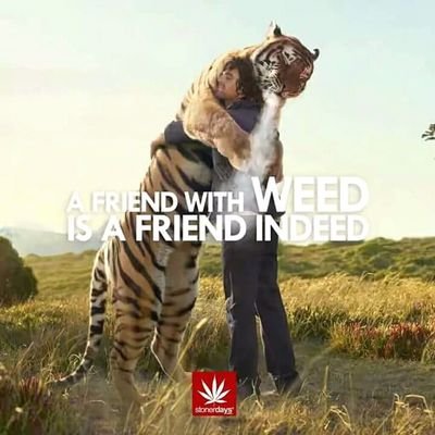 HaudyeK's profile picture. 