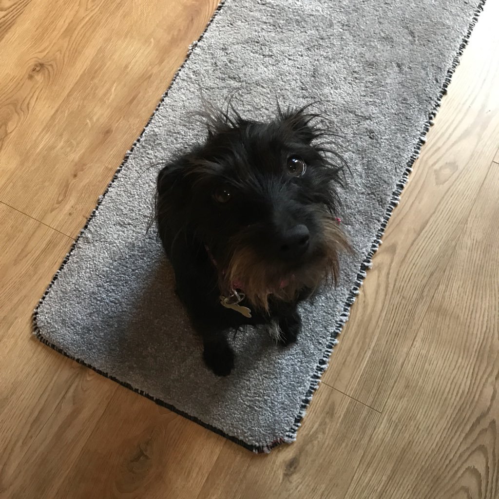 pumbingchap's profile picture. Plumbing & Gas lecturer Construction. Building Services. Apprenticeships.