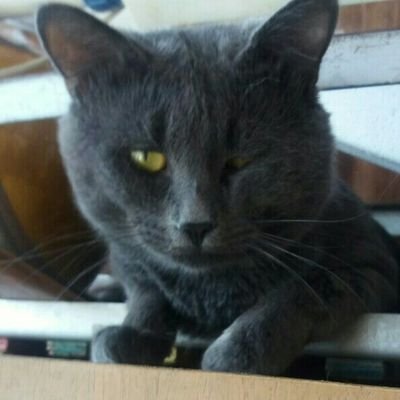 Жизнь прожить нужно так, чтобы у х..йла даже не возникла мысль тебя наградить.