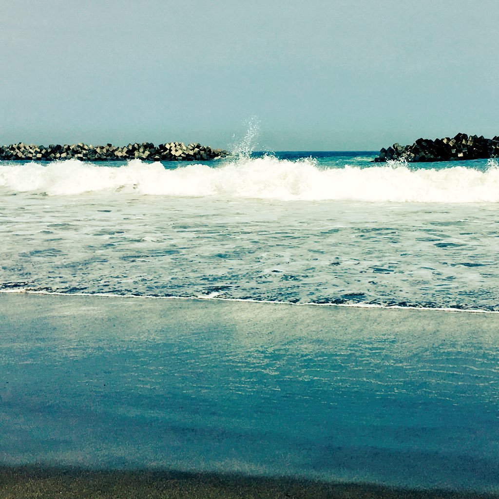 whitech71287646's profile picture. 社会人、競馬、米津玄師、米民🌾