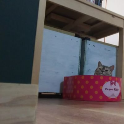 viragoorzoomer's profile picture. おもしろい漫画を常に探す！

BLUE GIANT
アトランティド
アルスラーン戦記
オールラウンダー廻

かなぁ～♪