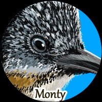 monty-monty(@monmon_monty) 's Twitter Profile Photo