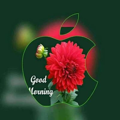 DurababuN's profile picture. send