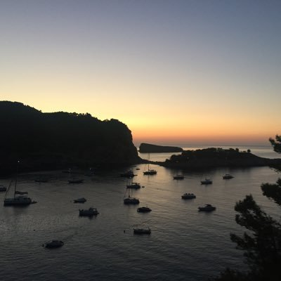 Michaeldickie79's profile picture. 