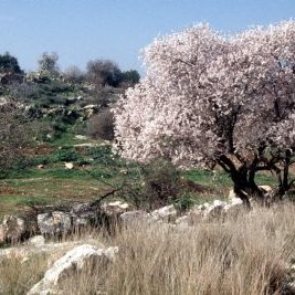 RubyLoo72's profile picture. 