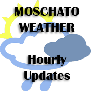 Ωριαία ενημέρωση για τις καιρικές συνθήκες στο Μοσχάτο.