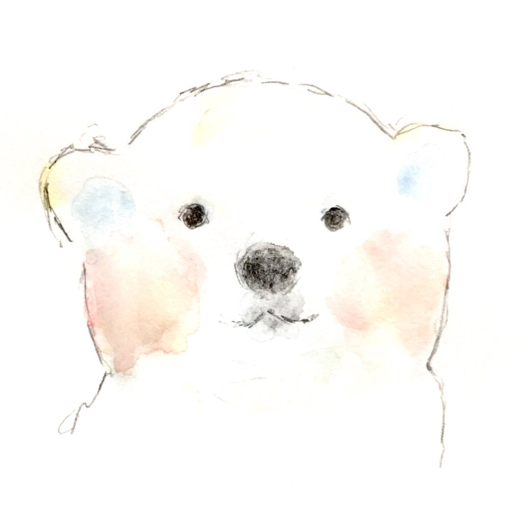 どうぶつ あいうさんのプロフィール画像