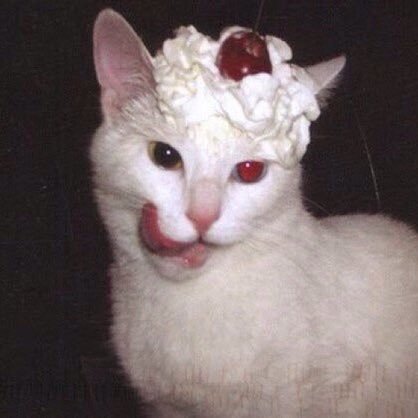 overandoverl's profile picture. Sick beast