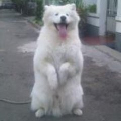 Arya1688's profile picture. 