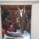 bob kile - @primalgrappler - Twitter