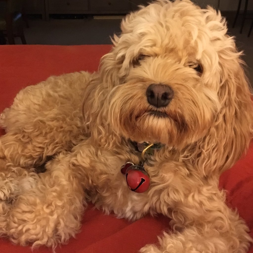 StephanieHaas16's profile picture. Divorced 46 year old woman who works 3 jobs so she can live a happy and healthy life