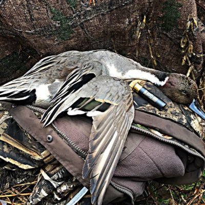 Northeast Oklahoma waterfowl hunting! instagram: fatal_flyway