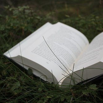 Facebook-side (og blogg) som drives av Elin og har som hovedmål å fremme norsk fantasy/fabelprosa.