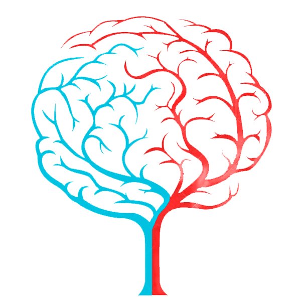 memoryacademyge's profile picture. მეხსიერების აკადემია • Memory Academy