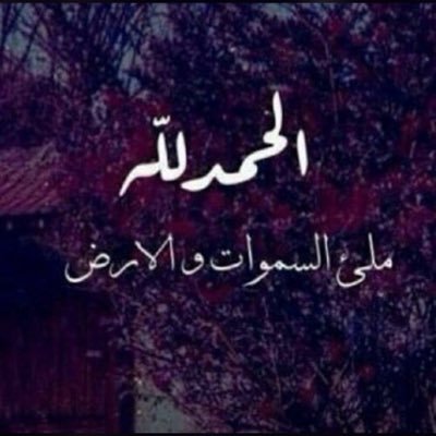 3mIpcsYSIV5yclX's profile picture. 