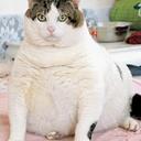 Sonja Bock - @sonjabock - Twitter