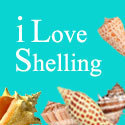 iLoveShelling's profile picture. I'm an artist, shelling fanatic and blogger of treasures, seashells and shell crafts around the world. Pam Rambo