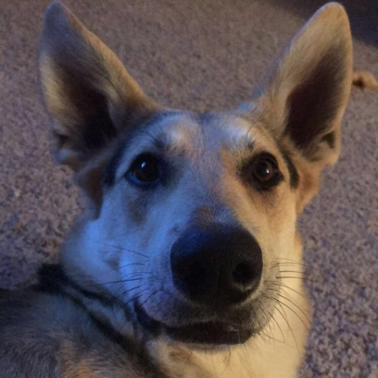 soahhhwutitdo's profile picture. 5/10 - Everyone.