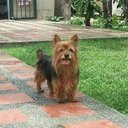 carmen aleida ortiz (@alecoca) Twitter