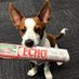 Echo Newspaper (@EchoNewsWA) Twitter profile photo