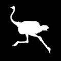 痩せ駝鳥さんのプロフィール画像