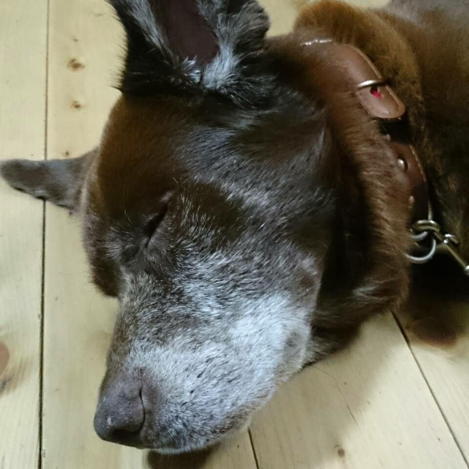 ocucraqp's profile picture. 