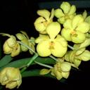 Sara Stoner - @Saraleeisbaked - Twitter