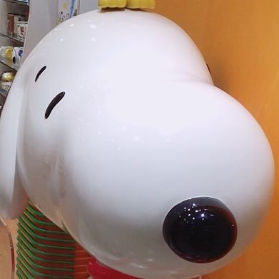 2yuki130925's profile picture. 中京高校1N/@yuki130925←本垢！