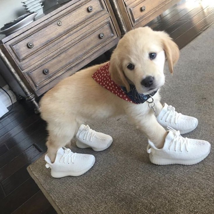 kclolrt's profile picture. This is a giveaway account, I enter lots so follow if you want! I AM NOT A BOT :)