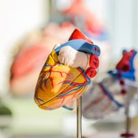 bioinformaticsjobs (@bioinfjobs) 's Twitter Profile