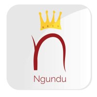 NgunduZW(@ngundu_zw) 's Twitter Profile Photo