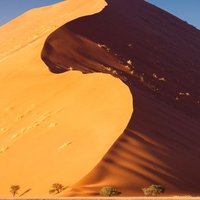 sandh0t (@sandh0t) 's Twitter Profile